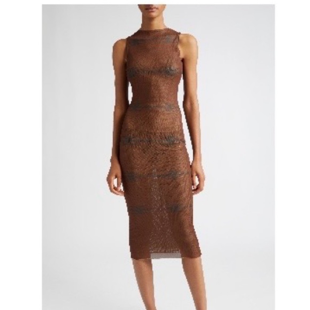 Brown Sheer Sleeveless long dress